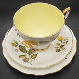 Royal Standard - Sunset - Trio