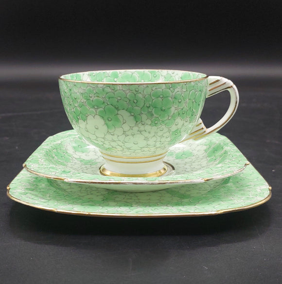 Paragon - Green and White Flowers - Trio