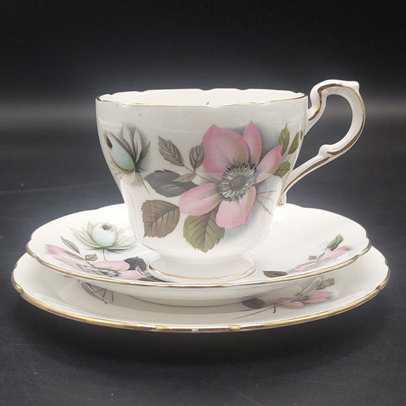 Paragon - Pompadour - Trio