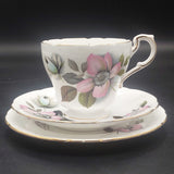 Paragon - Pompadour - Trio