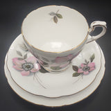 Paragon - Pompadour - Trio