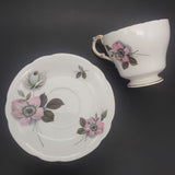 Paragon - Pompadour - Trio