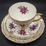 Sutherland - Purple Clematis - Trio