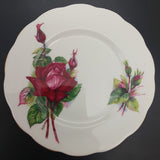 Roslyn - Wheatcroft Roses, No 2 Grand Gala - Trio with Coloured Cup Interior