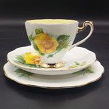 Roslyn - Wheatcroft Roses, No 4 Mme Ch Sauvage - Trio with Coloured Cup Interior