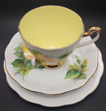 Roslyn - Wheatcroft Roses, No 4 Mme Ch Sauvage - Trio with Coloured Cup Interior