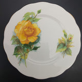Roslyn - Wheatcroft Roses, No 4 Mme Ch Sauvage - Trio with Coloured Cup Interior
