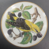 Franklin Porcelain - Songbirds of the World: Golden Oriole - Miniature Plate
