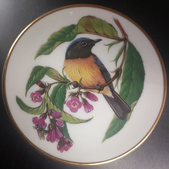 Franklin Porcelain - Songbirds of the World: Rufous Bellied Niltava - Miniature Plate