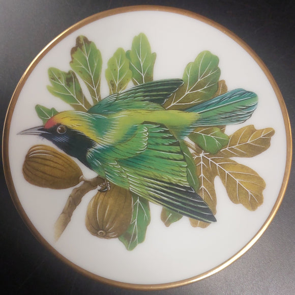 Franklin Porcelain - Songbirds of the World: Golden Fronted Leafbird - Miniature Plate