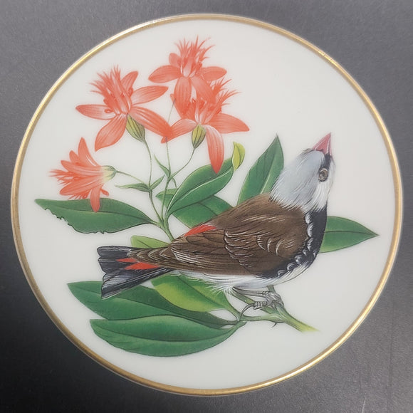 Franklin Porcelain - Songbirds of the World: Diamond Firetail Finch - Miniature Plate