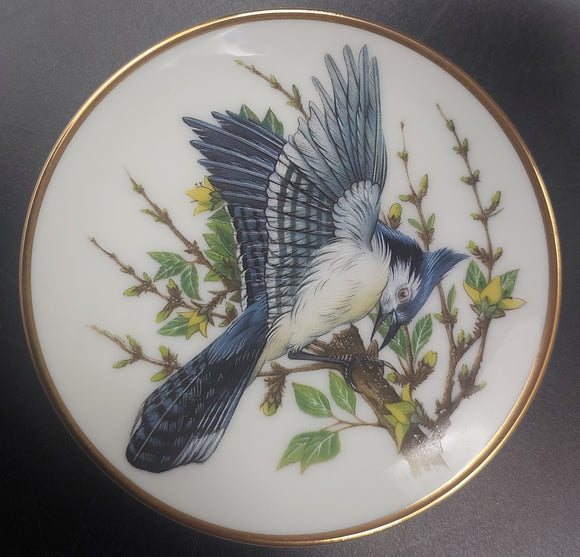 Franklin Porcelain - Songbirds of the World: Bluejay - Miniature Plate