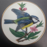Franklin Porcelain - Songbirds of the World: Blue Tit - Miniature Plate