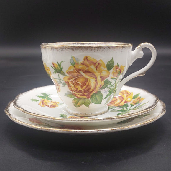 Royal Standard - Romany Rose - Trio