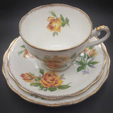 Royal Standard - Romany Rose - Trio