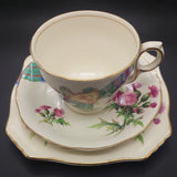 Royal Winton - Tartan and Thistle - Trio