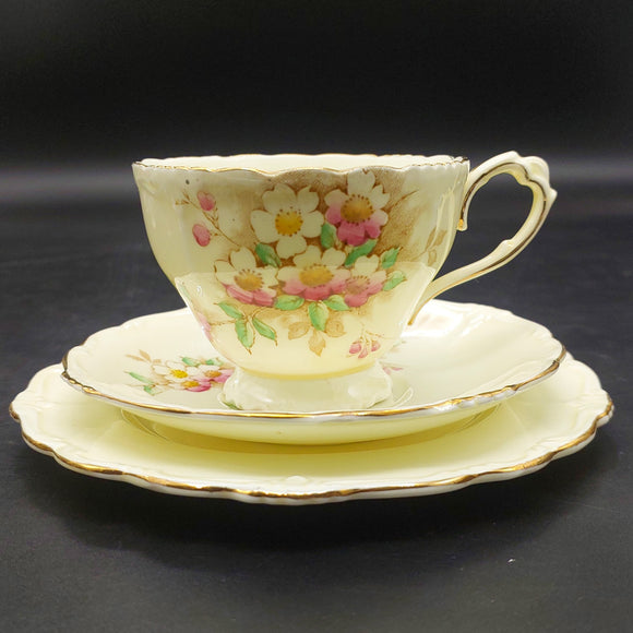 Paragon - Pink and Cream Flowers - Trio