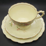 Paragon - Pink and Cream Flowers - Trio