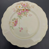 Paragon - Pink and Cream Flowers - Trio