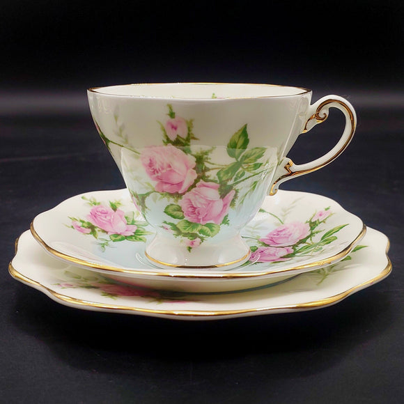 Foley - Pink Rose, Blue Band - Trio