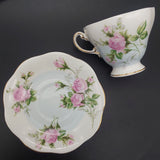 Foley - Pink Rose, Blue Band - Trio