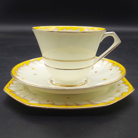 Paragon - Coloured Spots with Yellow Rim - Trio