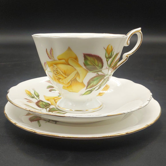Royal Standard - Yellow Rose - Trio
