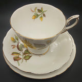 Royal Standard - Yellow Rose - Trio