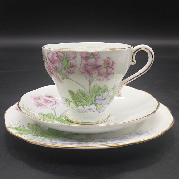 Salisbury - Primulas and Violets - Trio