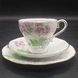 Salisbury - Primulas and Violets - Trio