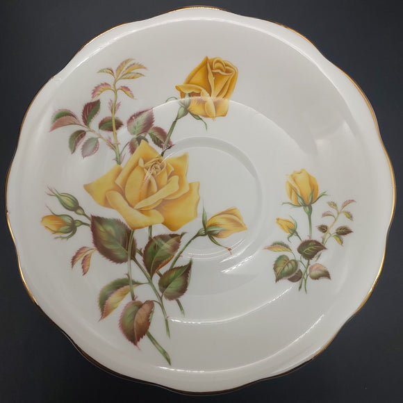 Royal Standard - Sunset - Saucer