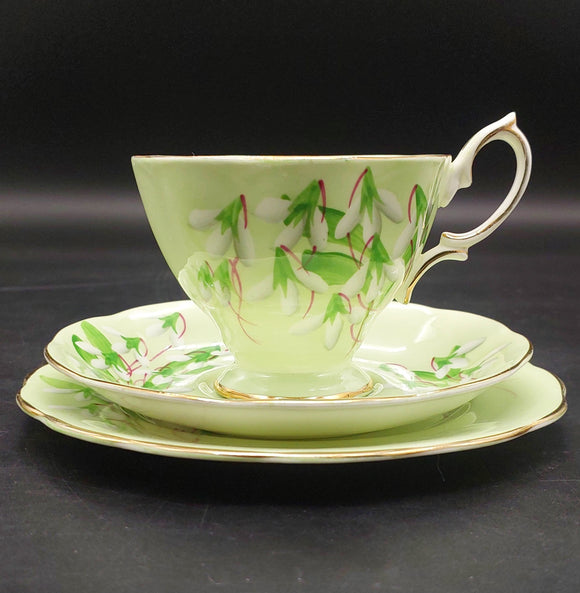 Royal Albert - Laurentian Snowdrop on Green - Trio