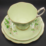 Royal Albert - Laurentian Snowdrop on Green - Trio