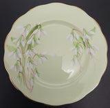 Royal Albert - Laurentian Snowdrop on Green - Trio