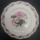 Royal Albert - Cotswold - Trio, Avon Cup