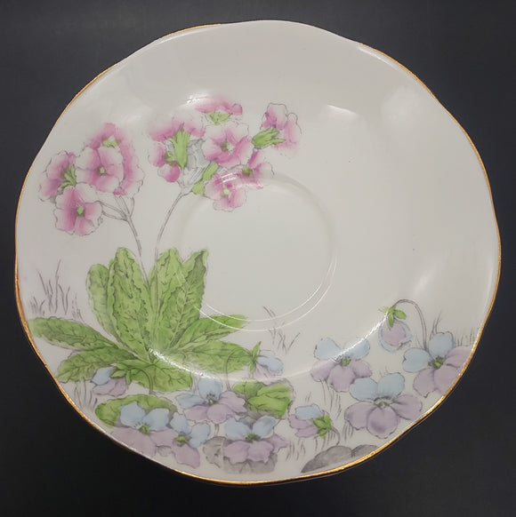 Salisbury - Primulas and Violets - Saucer