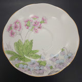 Salisbury - Primulas and Violets - Saucer