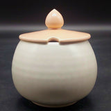 Poole - C97 Peach Bloom and Seagull - Lidded Sugar Bowl, 288