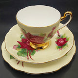 Roslyn - Wheatcroft Roses, No 2 Grand Gala on Cream - Trio