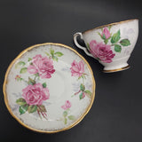 Royal Stafford - Berkeley Rose - Trio