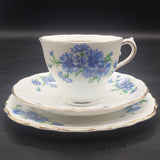 Colclough - Blue Cornflowers - Trio