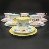 Queen Anne - Spring Flowers with Coloured Rims - Set of 6 Trios