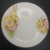 Royal Albert - Narcissus, Yellow and Pink - Saucer, Straight Rim