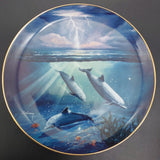 Franklin Mint - Storm of the Dolphin - Display Plate