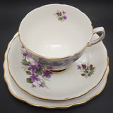 Colclough - Violets, 7876 - Trio