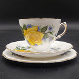Royal Vale - Yellow Rose, 7857 - Trio