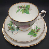 Roslyn - Wheatcroft Roses, No 5 Prelude - Trio with Rosebud Cup Interior