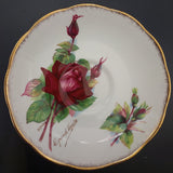 Roslyn - Wheatcroft Roses, No 2 Grand Gala - Saucer