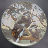 Royal Doulton - Young Kookaburras, D6426 - Photo Display Plate