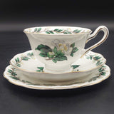 Royal Albert - Lady Clare - 18-piece Tea Set
